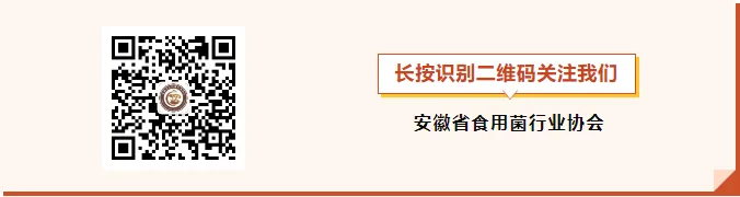 股票自己配资流程详解 安徽：合格率99.56%！其中食用菌类全部合格