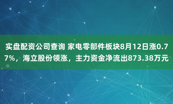 实盘配资公司查询 家电零部件板块8月12日涨0.77%，海立股份领涨，主力资金净流出873.38万元